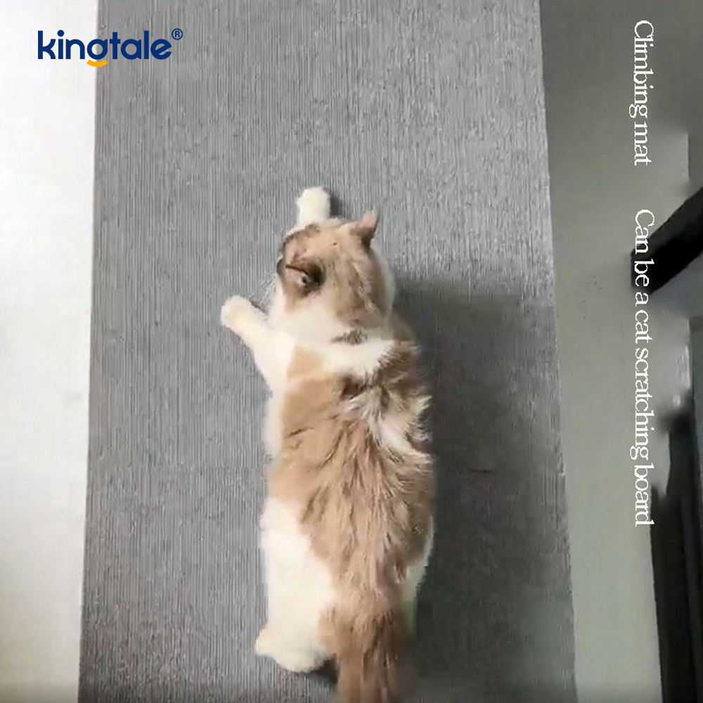 Cat Scratching Self-tenaces tapete for replacement Pads Furniture Praesidium