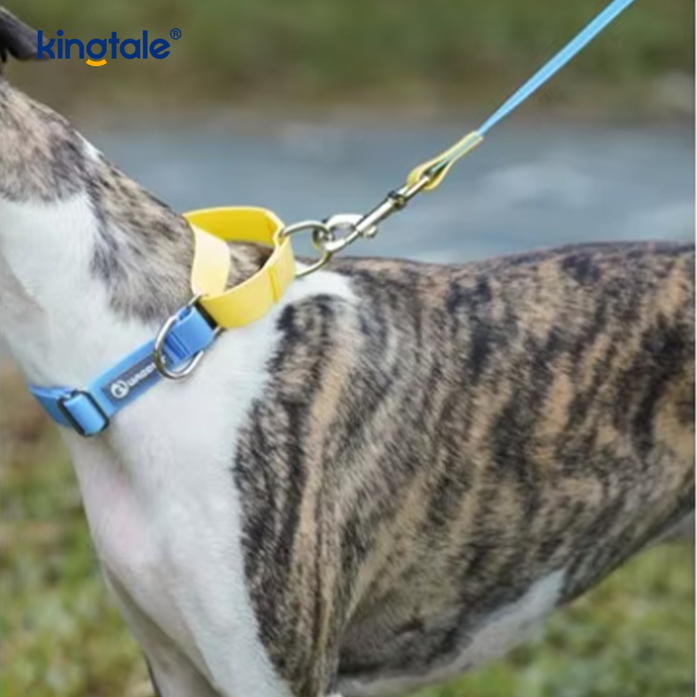 IMPERVIUS Dog Leash Luxuria Fashion Simple Nylon Pet Supplies