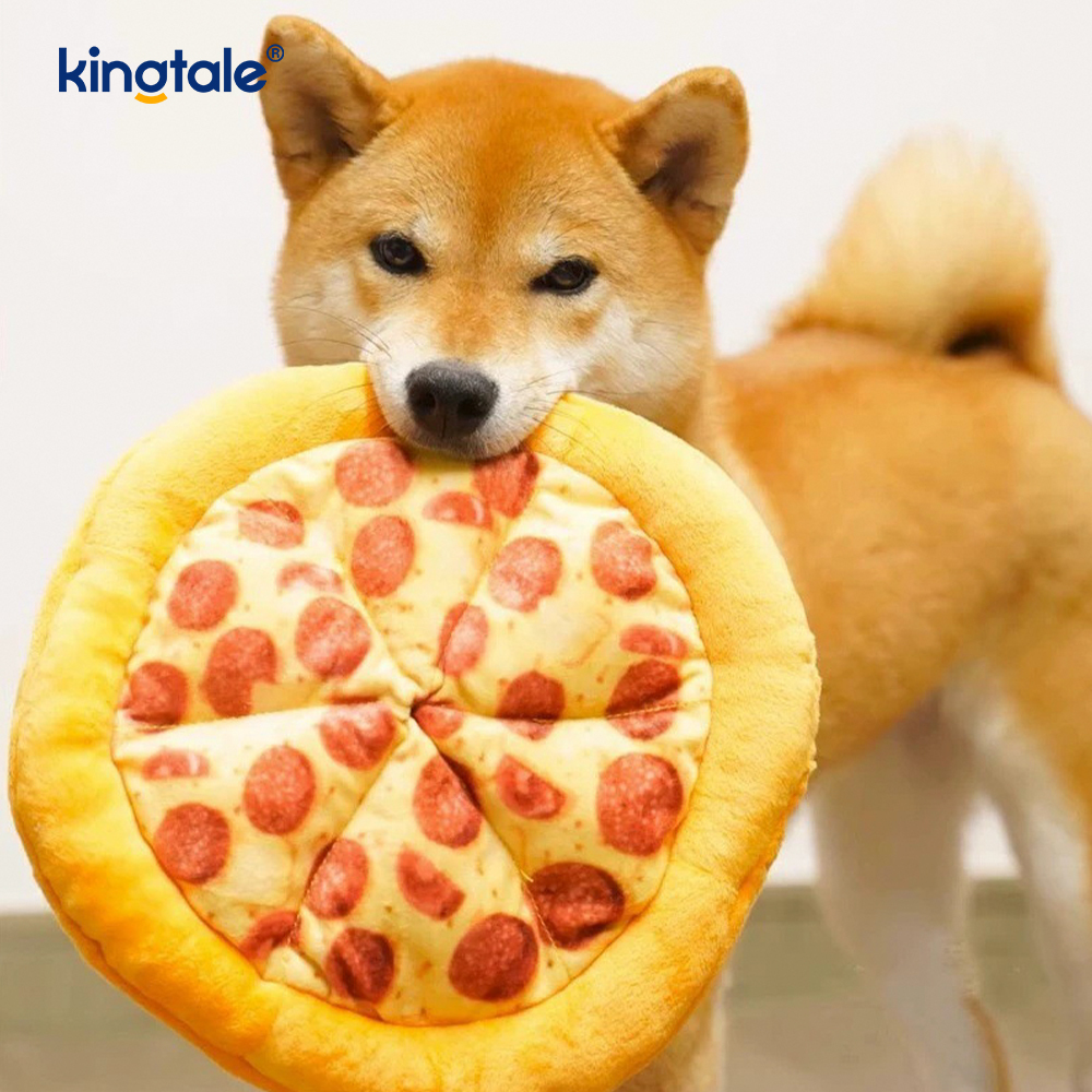 Fun Squeaky Chew Books for Suspendisse - Pizza & Donut