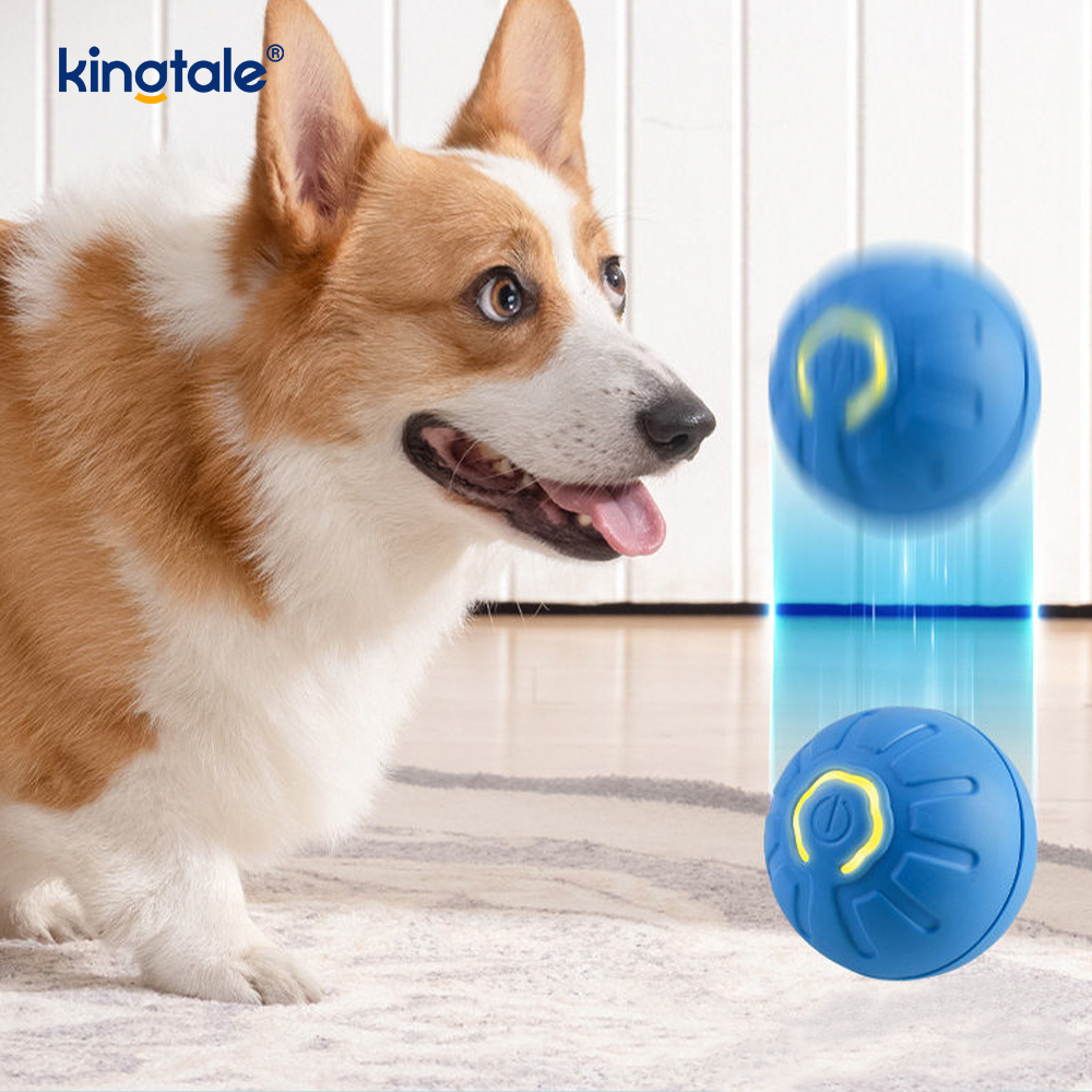 Durare Remotis Imperium Dog Ball Automatic Active Rolling Ball pro canibus