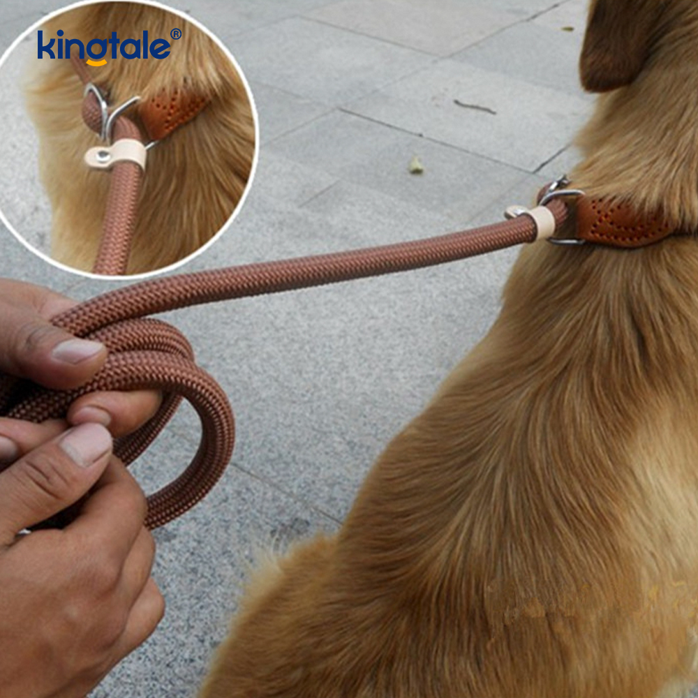 Anti-Pull Extra-Long & Creber P-Leash pro canibus Training Labi Plumbum