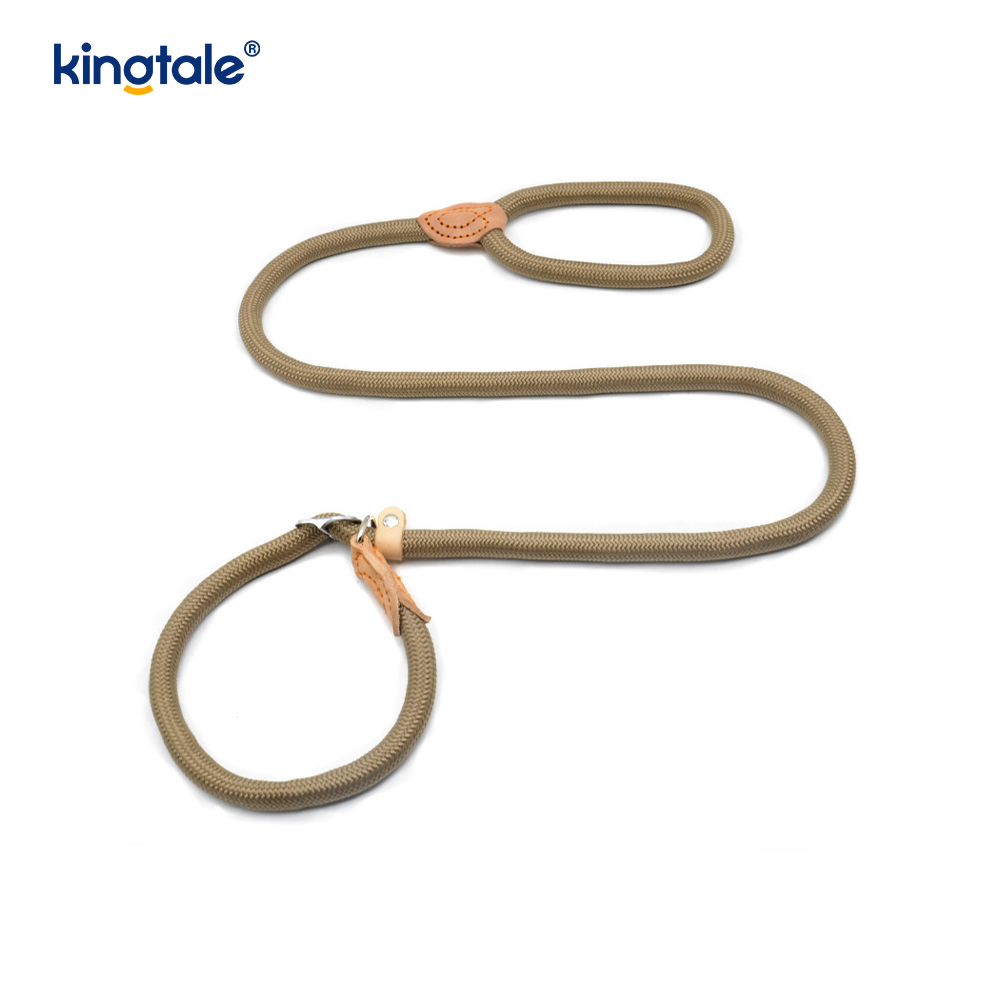 Anti-Pull Extra-Long & Creber P-Leash pro canibus Training Labi Plumbum