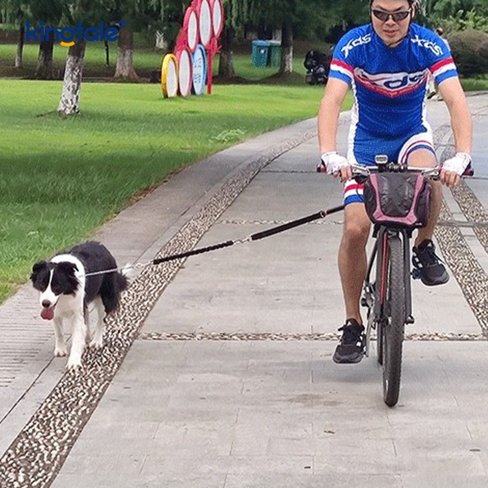 Manus Free Cycling dog Traction Funem