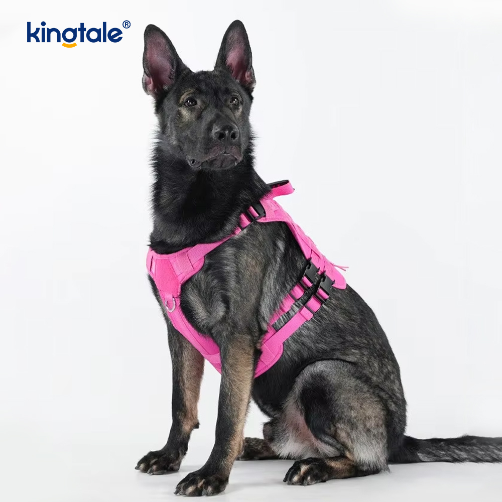 Cat & Canis Backpack Humerum / Handbag Portitorem arca iungite