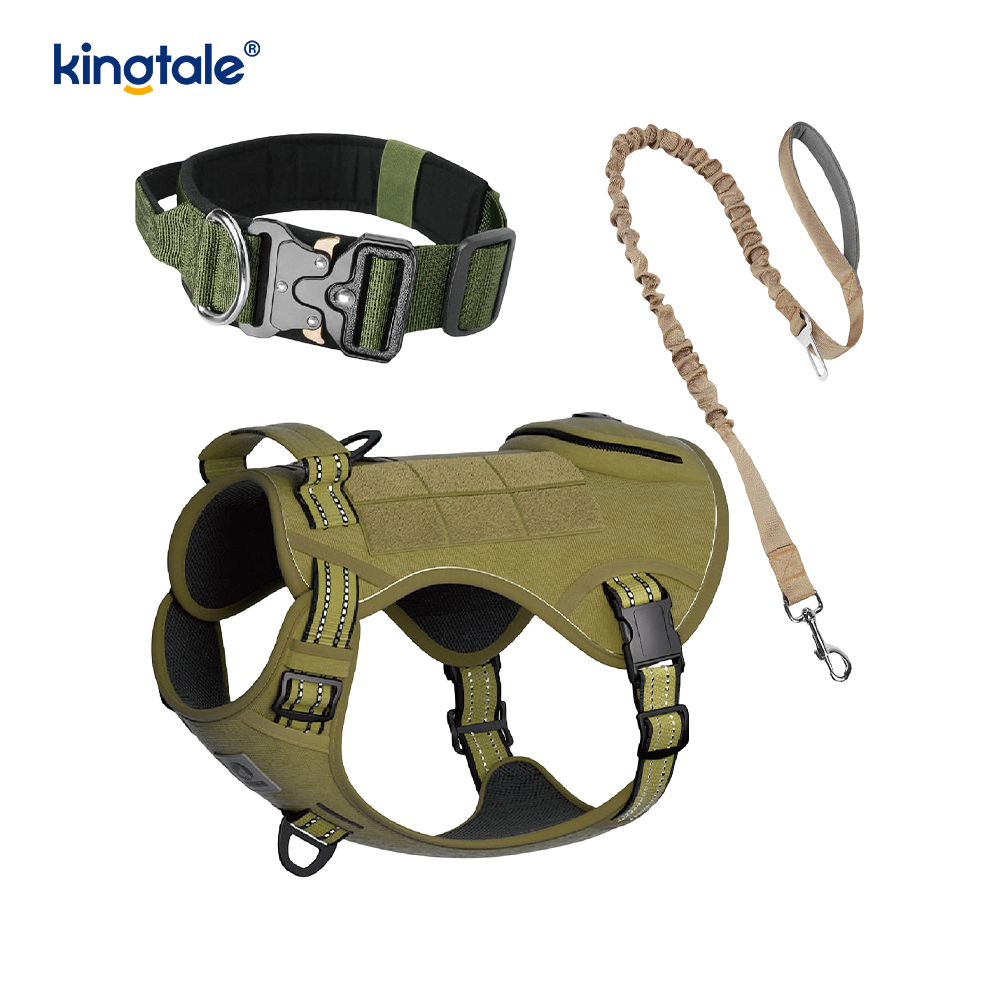 Lorem Nylon non excute canis Collarem Leash iungite cum Imperium