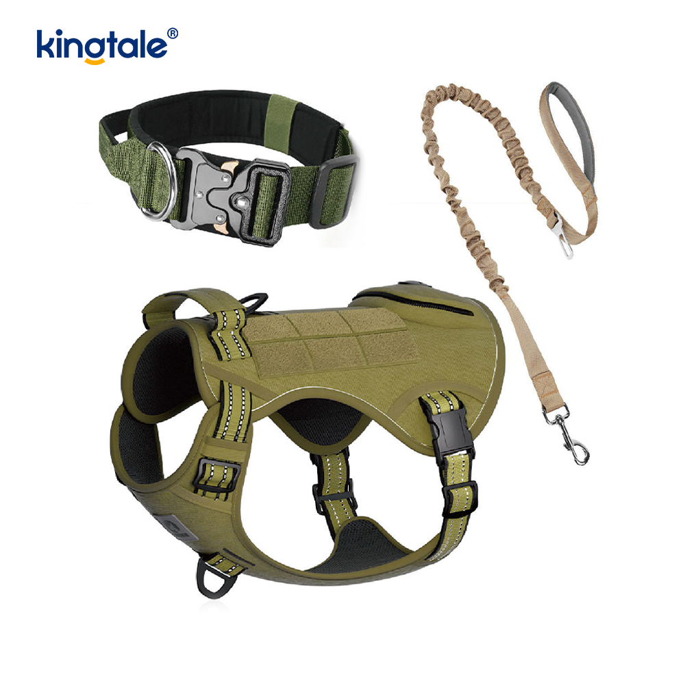 Lorem Nylon non excute canis Collarem Leash iungite cum Imperium
