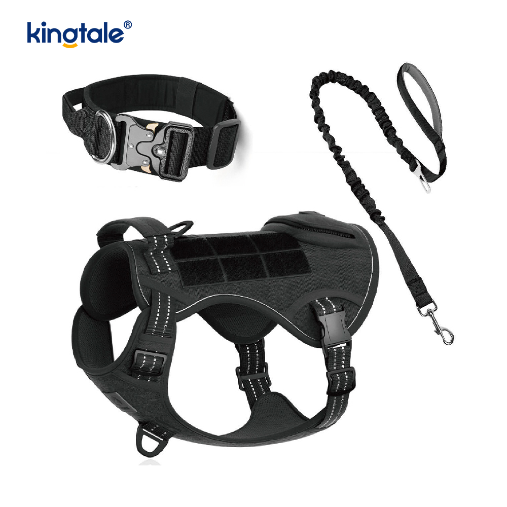 Lorem Nylon non excute canis Collarem Leash iungite cum Imperium