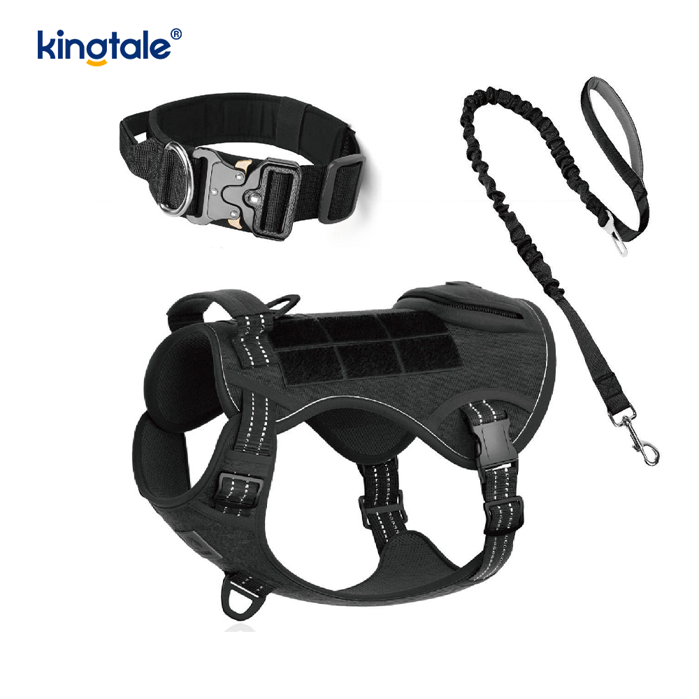 Lorem Nylon non excute canis Collarem Leash iungite cum Imperium