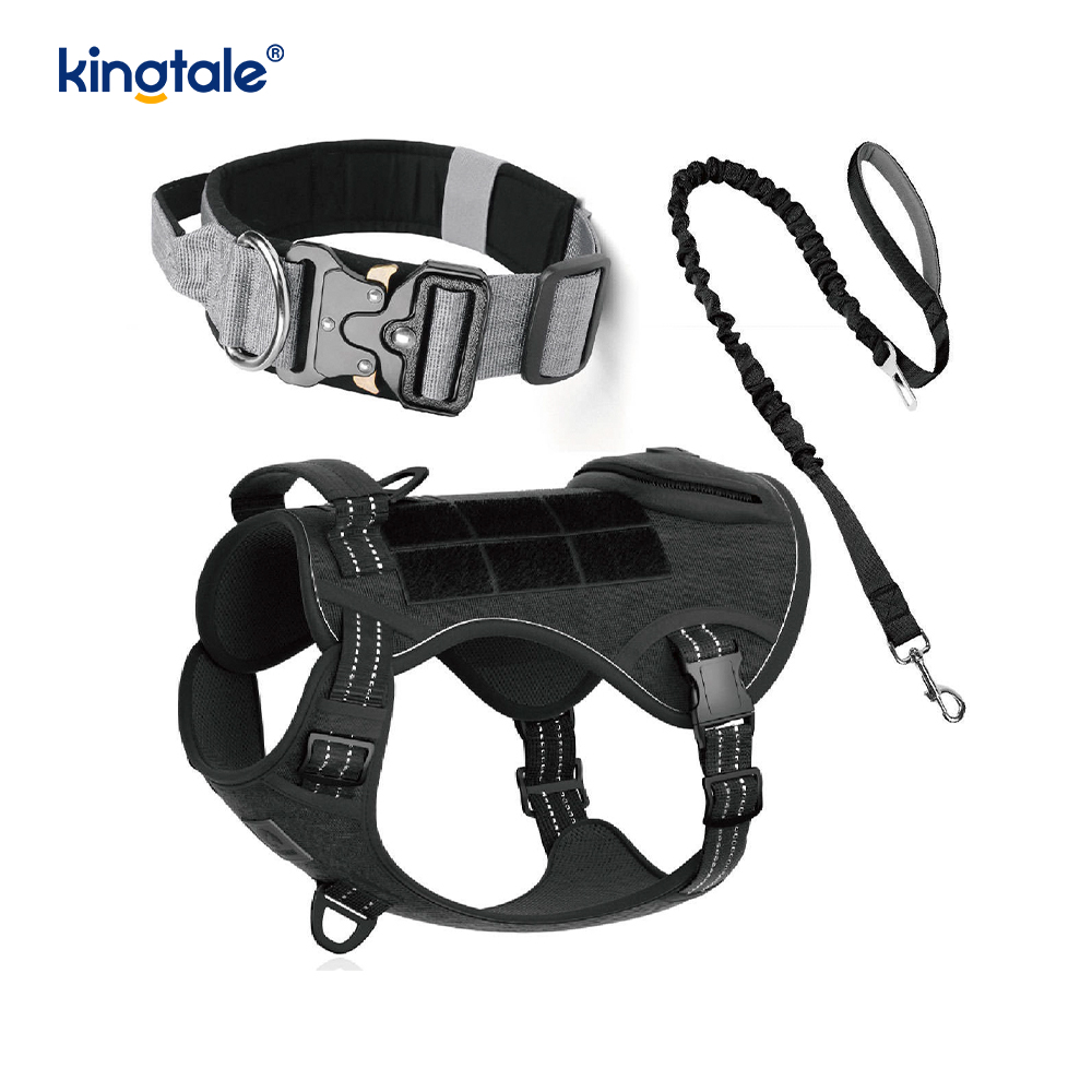 Lorem Nylon non excute canis Collarem Leash iungite cum Imperium