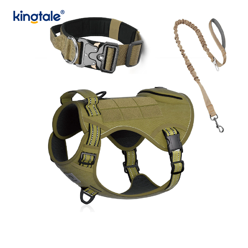 Lorem Nylon non excute canis Collarem Leash iungite cum Imperium