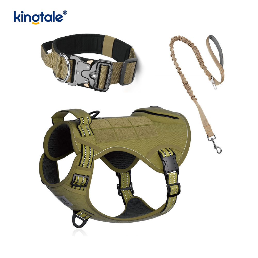 Lorem Nylon non excute canis Collarem Leash iungite cum Imperium