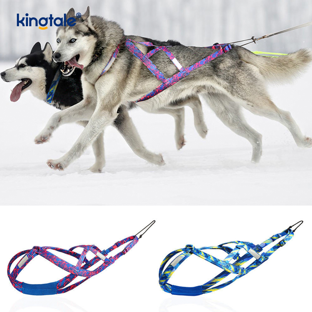 Canem trahens Husky Mushing iungite X Back Iunge canibus