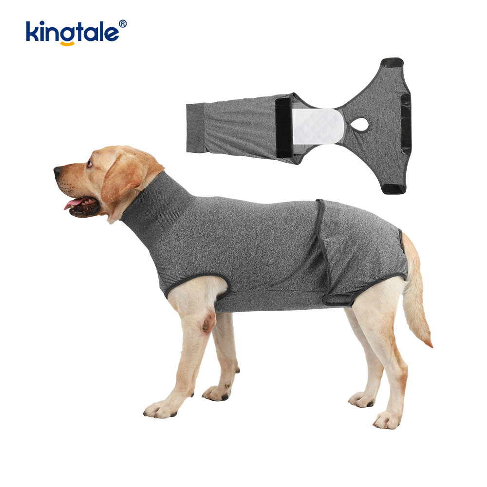 Canis Recuperatio litem abdominis Vulnus puppy chirurgicam Vestimenta Post-operativa Vestis