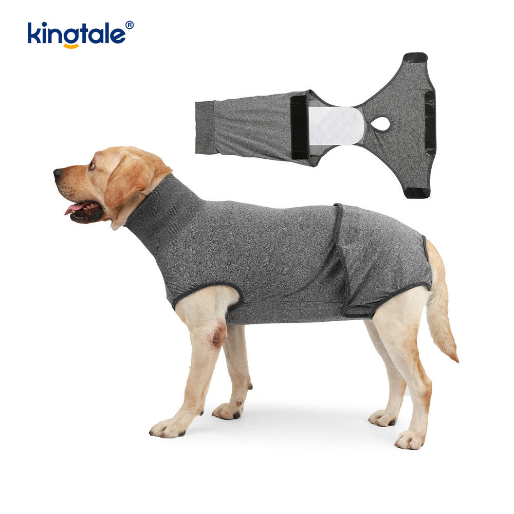 Canis Recuperatio litem abdominis Vulnus puppy chirurgicam Vestimenta Post-operativa Vestis