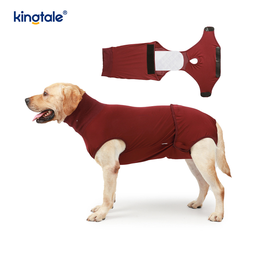 Canis Recuperatio litem abdominis Vulnus puppy chirurgicam Vestimenta Post-operativa Vestis