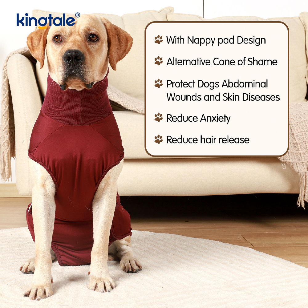 Canis Recuperatio litem abdominis Vulnus puppy chirurgicam Vestimenta Post-operativa Vestis
