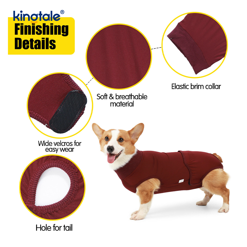 Canis Recuperatio litem abdominis Vulnus puppy chirurgicam Vestimenta Post-operativa Vestis